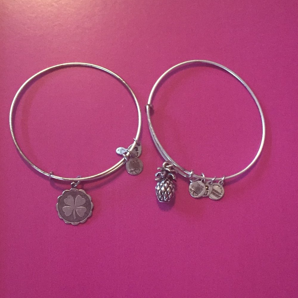 Alex and Ani Charm Bangles